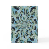 Spider cards