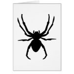 Spider Cards