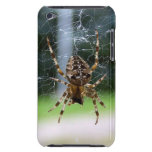 Spider casemate cases