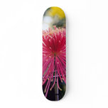 chrysanthemum, skateboard