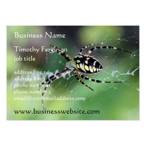 Spider Chubby Business Cards