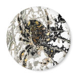 Spider Closeup Blk Fridge Magnet