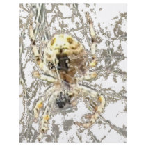 Spider Closeup Mystic Web flyers by HalloweenSpirit Spider Closeup Mystic Web flyers