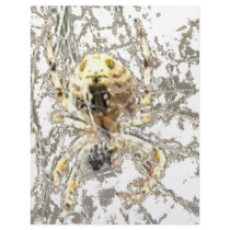Spider Closeup Mystic Web letterhead