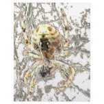 Spider Closeup Mystic Web Customized Letterhead
