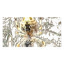 Spider Closeup Mystic Web Photo Greeting Card