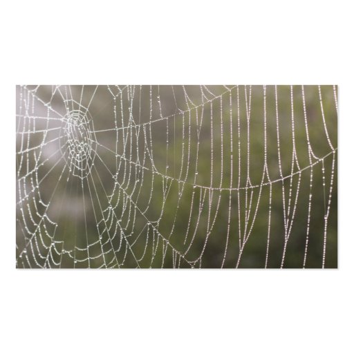 Spider Cobweb Business Card Template