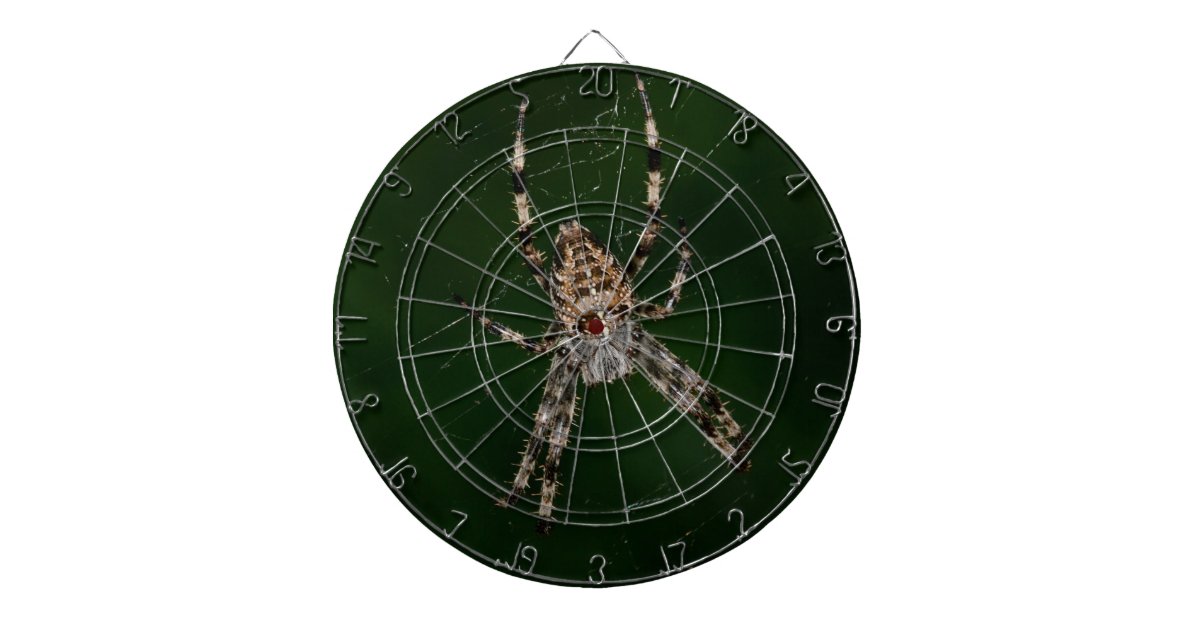 Spider Dart Boards Zazzle