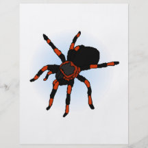 Spider Flyer Design