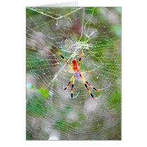 Spider Glow #1 Card