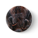 spider hair buttons