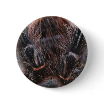 spider hair buttons by jdmphotography spider hair buttons