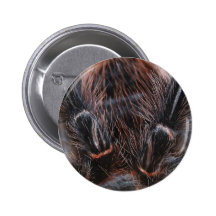 spider hair button
