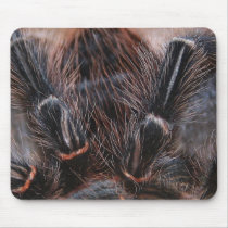 spider hair mousepads