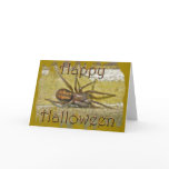 Spider Halloween Holiday Coordinating Items Cards