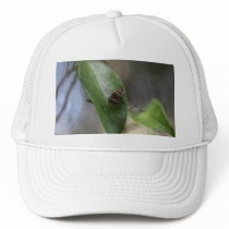 Spider Mesh Hat