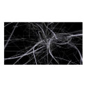 abstract poster