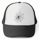spider in cobweb hats