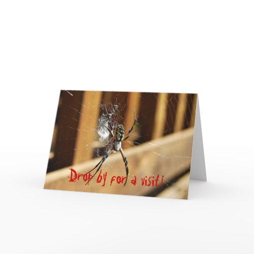 Spider in its Web -- Drop by for a visit! card