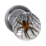 spider in web pinback button