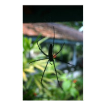 Spider in web posters