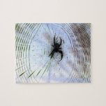 Spider in Web puzzles