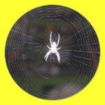 Spider in web stickers