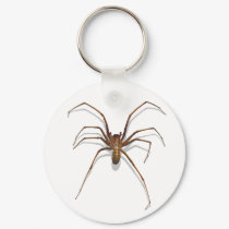 Spider keychains