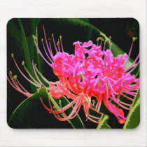 Spider Lily 1 mousepads