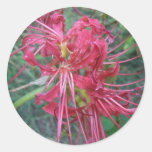 Spider Lily Bloom Sticker