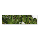 Spider lily plant and blossoms bumper sticker
