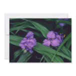 Spider Lily, (Tradescantia Andersonia) flow Invite
