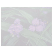 Spider Lily, (Tradescantia Andersonia) flow Letterhead Design