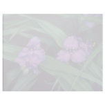 Spider Lily, (Tradescantia Andersonia) flow Letterhead Design