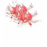 Spider Lily Tshirts