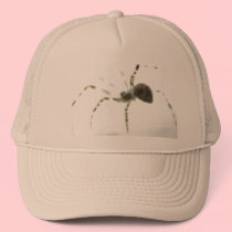 Spider Macro Cap hats