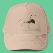 Spider Macro Cap hats