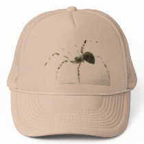 Spider Macro Cap hats