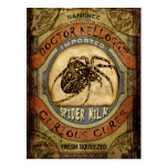Spider Milk Postcards