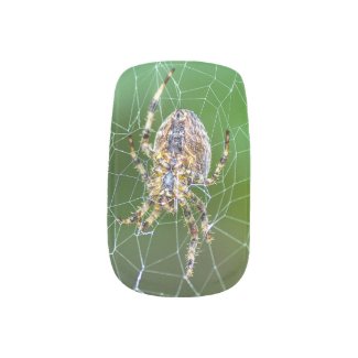 Spider Minx Nails Nail Art