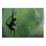 Spider Monkey in Motion