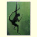 Spider Monkey in Motion cards by WildAnimalArt Spider Monkey in Motion cards