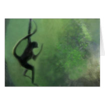 Spider Monkey in Motion cards
