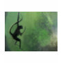 Spider Monkey in Motion