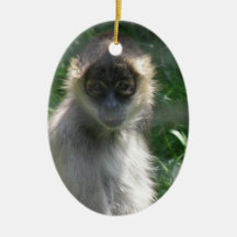 Spider Monkey  Ornament