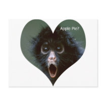 spider monkey post cards