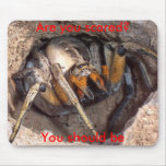 spider mouse mat