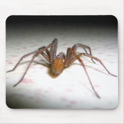 Spider Mouse Pad by REDINARD