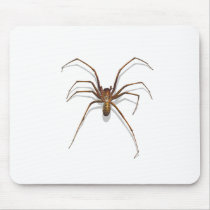 Spider mousepads