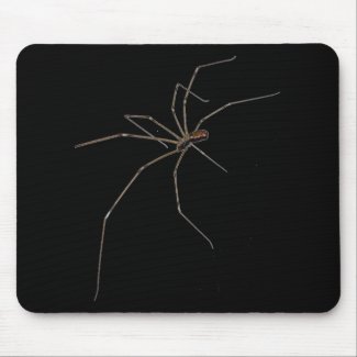 spider mousepad